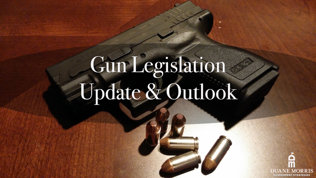 gun legislation