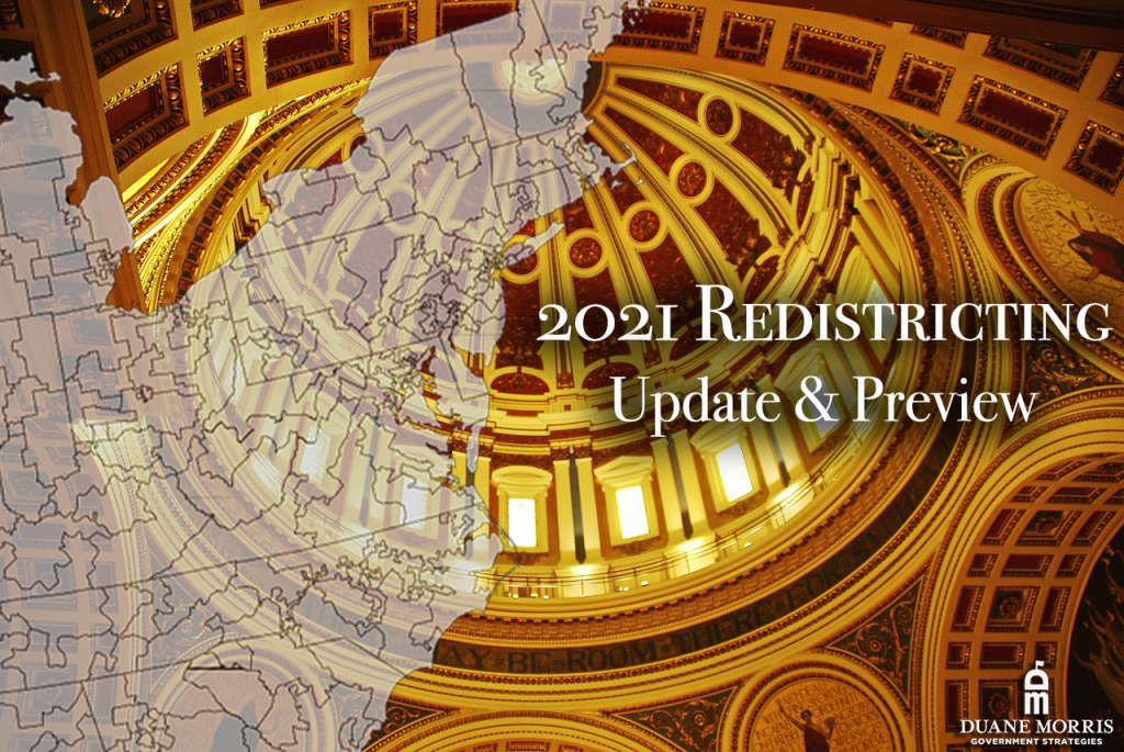 2021 Redistricting reform