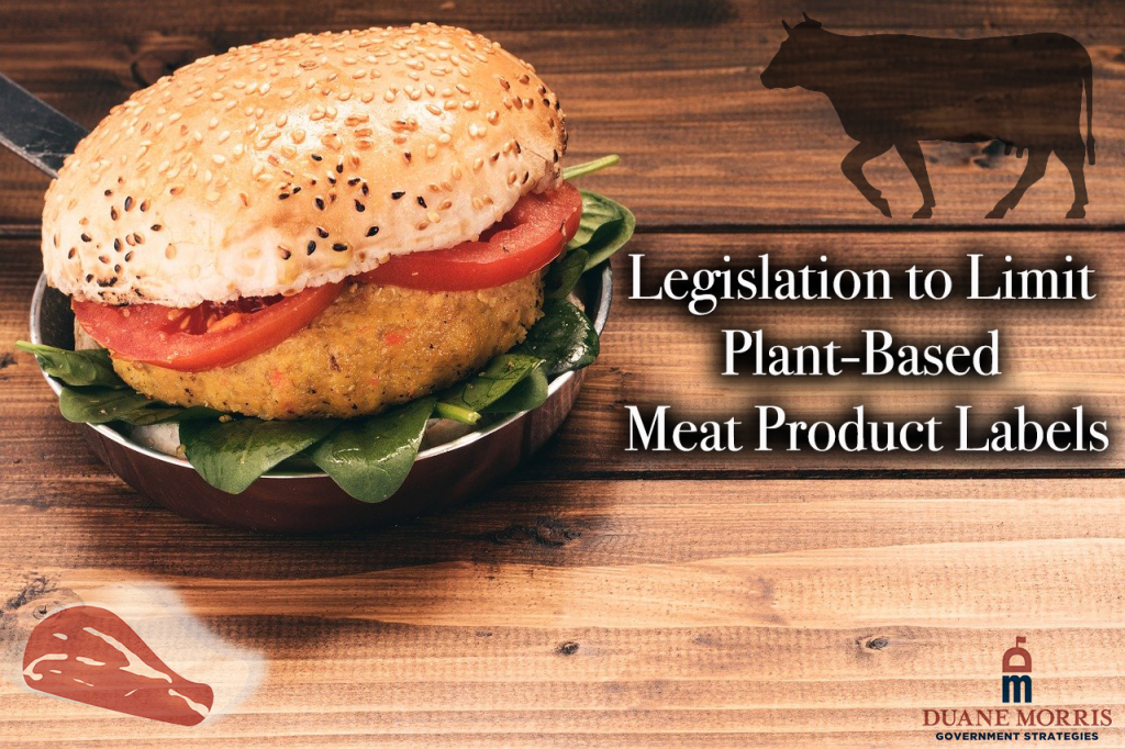 plant-based meat product