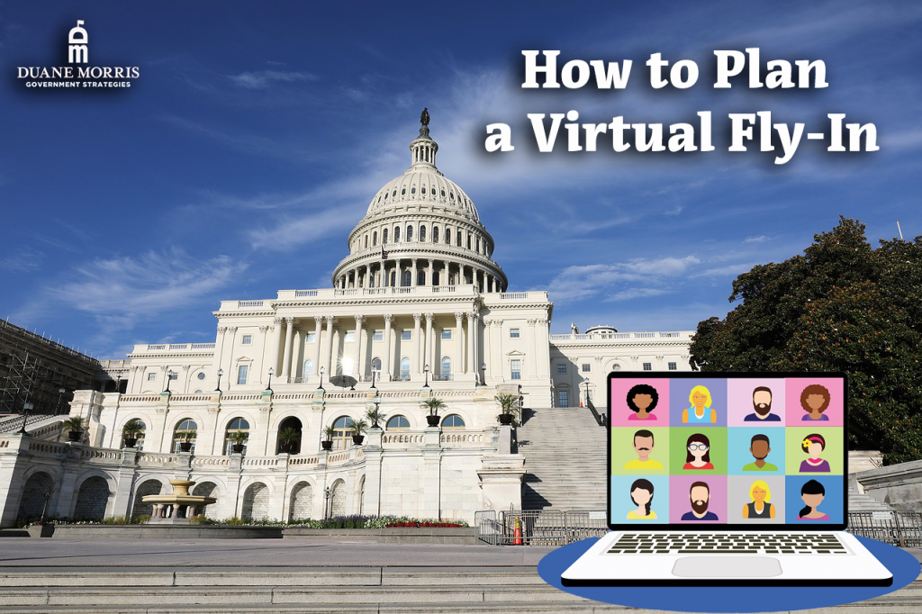 how to plan a virtual fly-in and how to lobby
