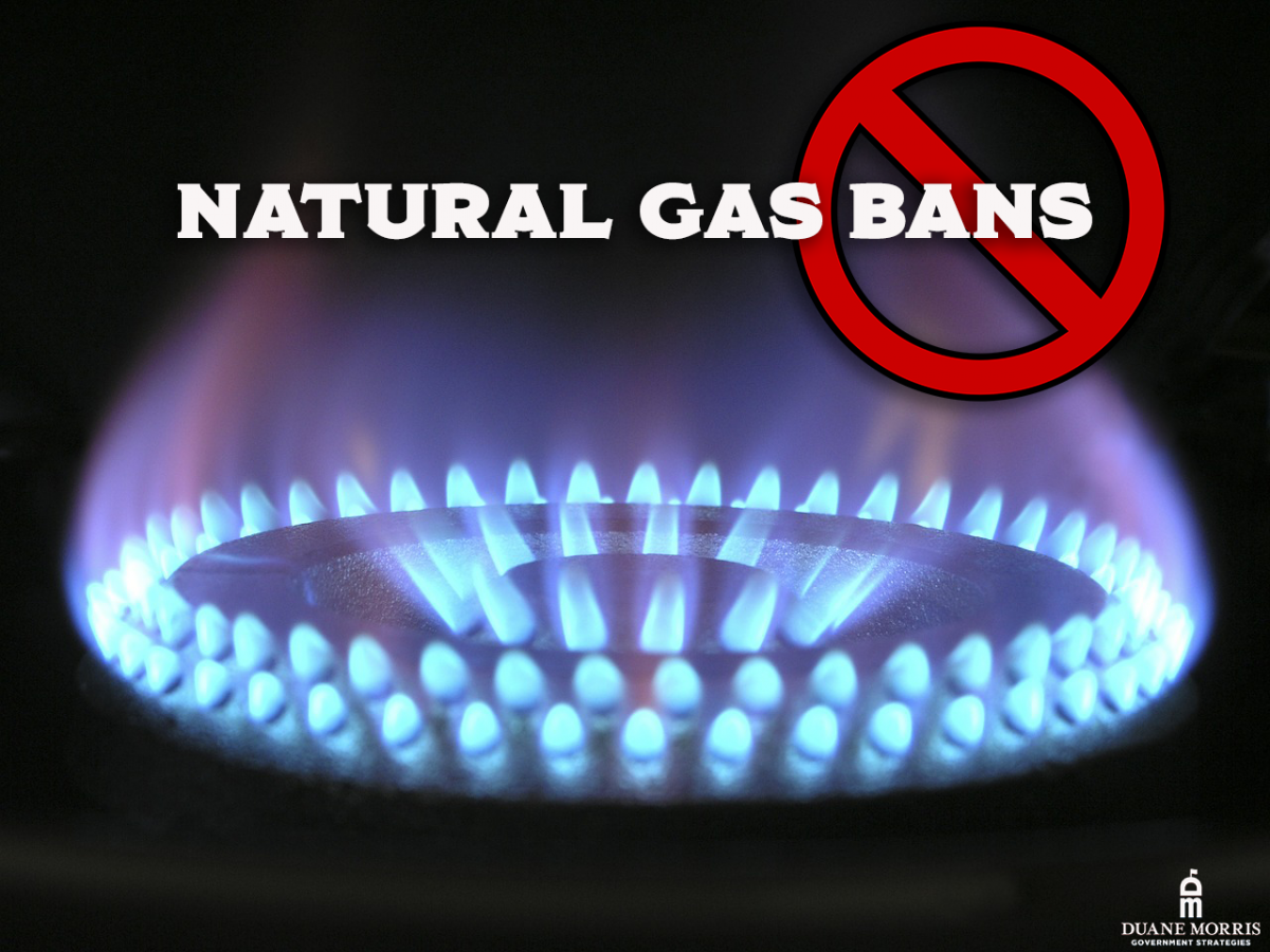 States and Cities Faceoff Over Natural Gas Bans Duane Morris