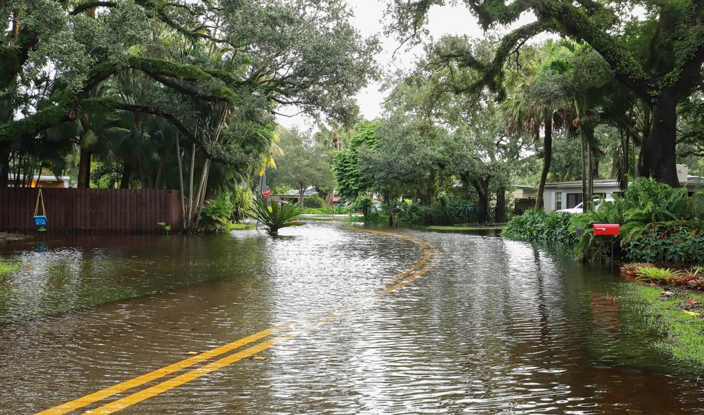 flood resilience