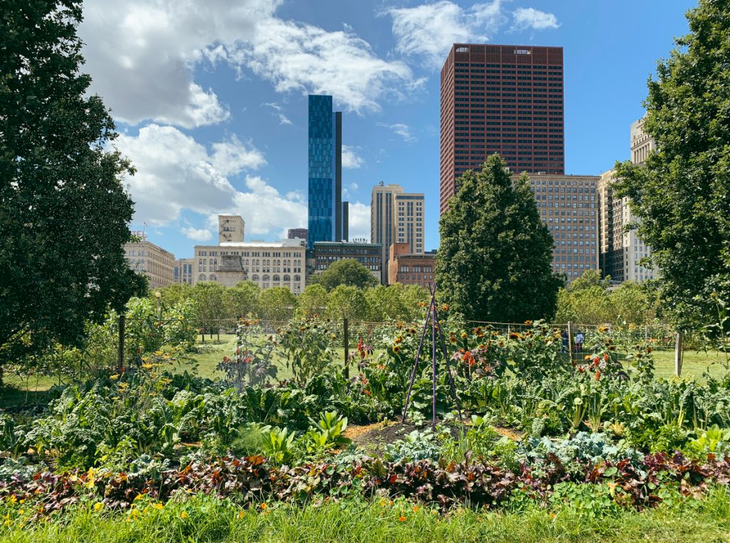 urban agriculture