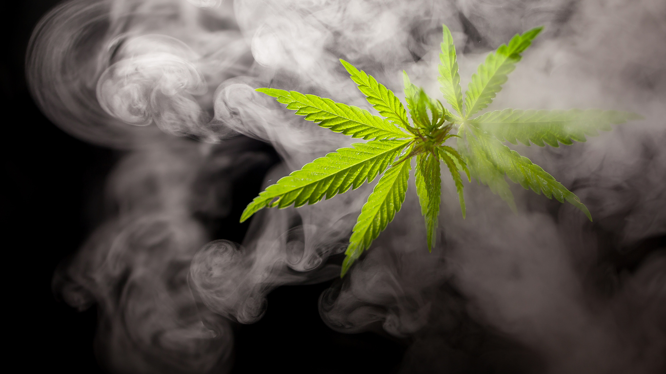 legalize cannabis