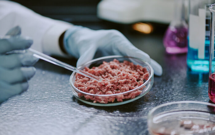 lab-grown meat bans 2025