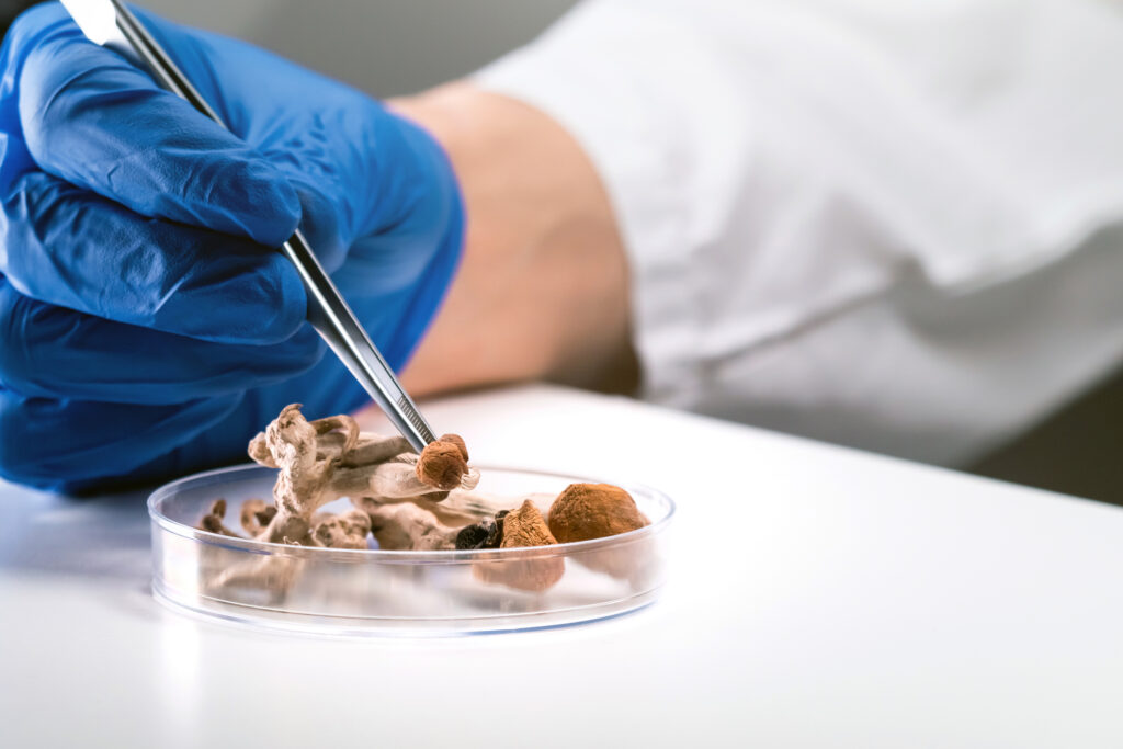 Psilocybin Legislation