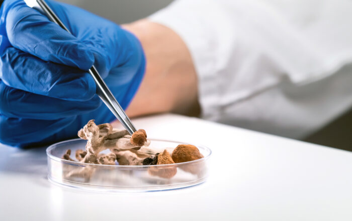 Psilocybin Legislation