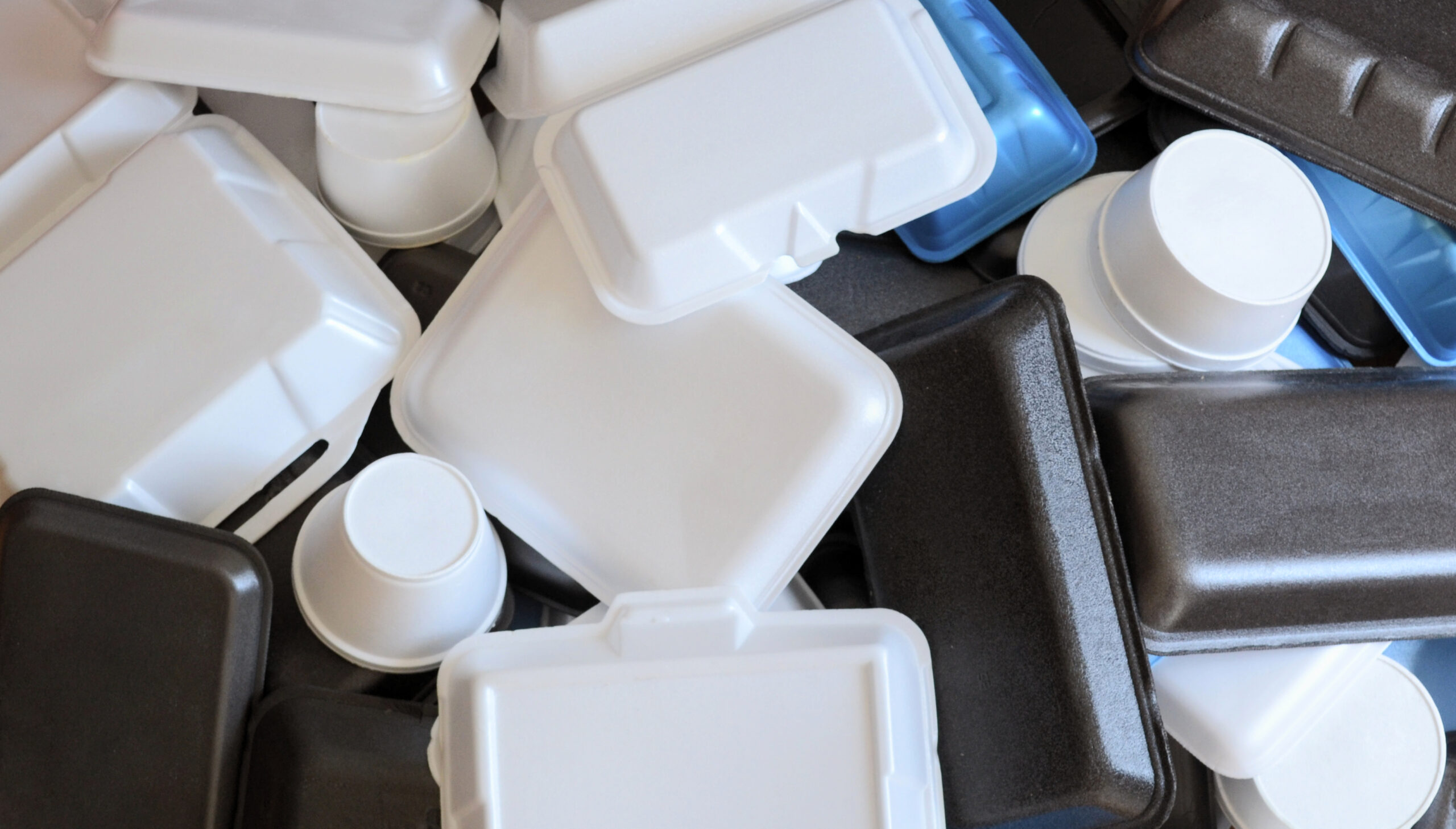 polystyrene legislation ban